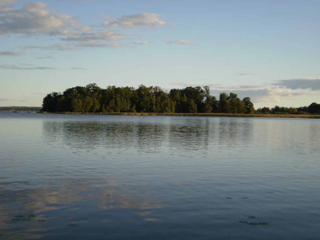 Lago sueco con árboles al fondo